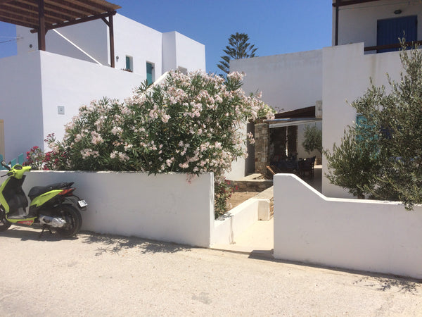 Light, bright, modern apartment with plenty of outside space with patio to three Bedford, United Kingdom AntiparosApartment Entire condo vacation rental 4478693