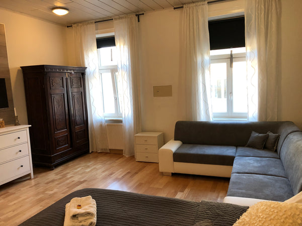 Totally renovated modern style flat, one bedroom with double bed, large living r Vienna, Austria Belvedere Palace Area Apartment Entire rental unit vacation rental 8821004