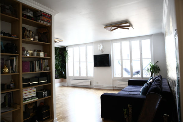 I  would be pleased to have you in my sweet home in the center of paris, 11th di Paris, France Beautiful and spacious apartment center of Paris Entire rental unit vacation rental 19694819