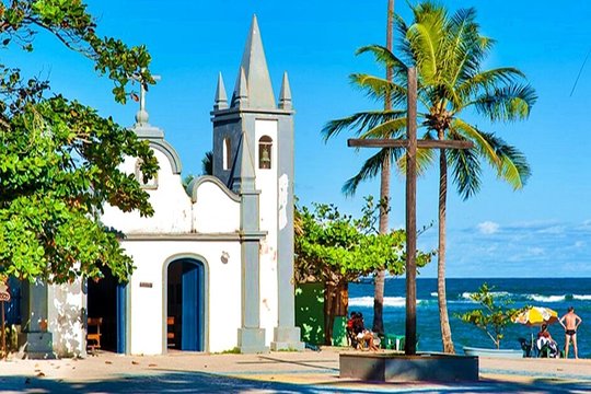 Private Tour to Praia do Forte and Praia de Guarajuba from Salvador  Private Tours and Travel Guide America Bahia CITY Salvador da Bahia Destination Tour