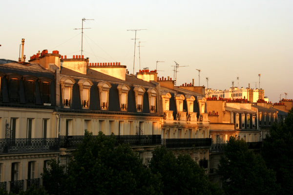 Enjoy a real parisian mansard at one the trendiest neighborhoods of Paris. Fully Paris, France Bohemian Attic near Montmartre Entire rental unit vacation rental 7238730