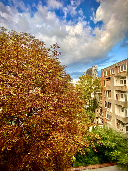 Keep it simple at this peaceful and centrally-located place.<br /><br />Bright d Brussels, Belgium Cozy double bedroom in the heart of Ixelles Private room in condo vacation rental 693996001368328853