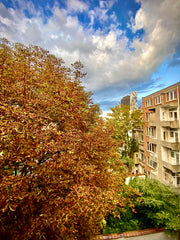 Keep it simple at this peaceful and centrally-located place.<br /><br />Bright d Brussels, Belgium Cozy double bedroom in the heart of Ixelles Private room in condo vacation rental 693996001368328853
