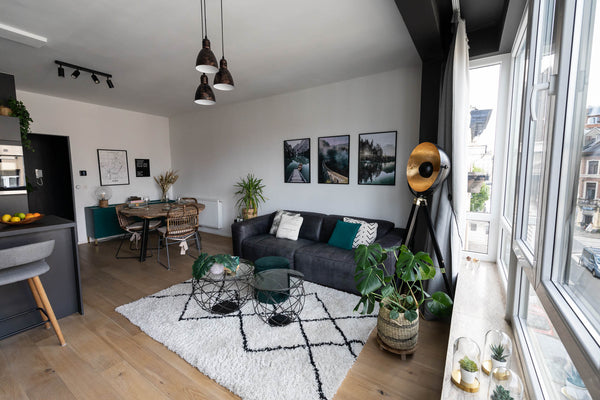 Antwerp, Belgium Bright 2BR apt. Fully-furnished. Ultra-fast WiFi. Entire condo vacation rental 678699729553551309