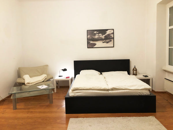 Recently renovated and newly furnished „City-Crown-Apartment“, located in the ce Vienna, Austria ★ VIENNA-CITY-APARTMENT ★ U4 ★ NASCHMARKT ★ Entire rental unit vacation rental 28891424