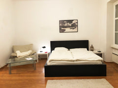 Recently renovated and newly furnished „City-Crown-Apartment“, located in the ce Vienna, Austria ★ VIENNA-CITY-APARTMENT ★ U4 ★ NASCHMARKT ★ Entire rental unit vacation rental 28891424