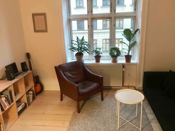 Cosy Vesterbro apartment near the many nice coffee shops, restaurants and shops  Copenhagen, Denmark Nice Vesterbro apartment with balcony Entire rental unit vacation rental 40555309