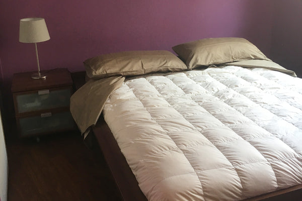 Bedroom is calm and light facing the communal gardens. Private bathroom. Toilet, Lyon, France Room in center of Lyon-Bellecour in 8min on subway Private room in condo vacation rental 29479884