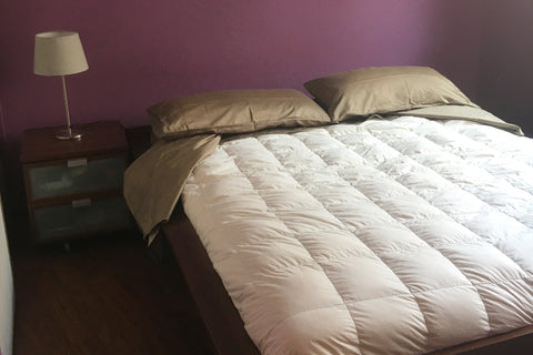 Bedroom is calm and light facing the communal gardens. Private bathroom. Toilet, Lyon, France Room in center of Lyon-Bellecour in 8min on subway Private room in condo vacation rental 29479884