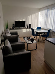 Modrý apartmán má prostornou ložnici s velkou manželskou postelí a rozkládací dě Prague, Czechia 612/1 Blue apartment Entire rental unit vacation rental 24973023