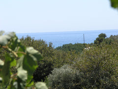 Olive Tree Cottage is situated on the east coast of the village of Paleochora Cr  Beautiful Cottage in S. West Crete near the sea Farm stay vacation rental 48569373