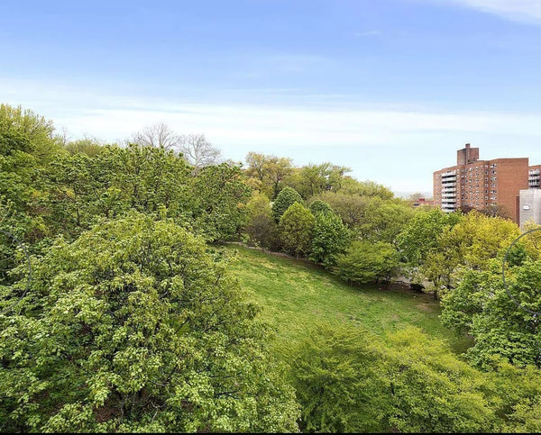 Sunny and bright 1 bedroom apartment in the tranquil, Riverdale part of the Bx.  New York, NY Condo in Bronx · ★5.0 · 1 bedroom · 2 beds · 1 bath Entire condo vacation rental 53545175
