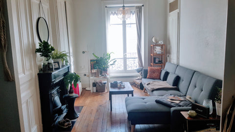Bel appartement chaleureux dans le 7ème arrondissement. Proche des quais, proche Lyon, France Appartement cosy 53m² Lyon 7 Entire rental unit vacation rental 21303158