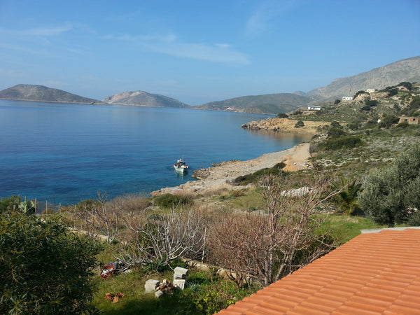 Fully equipped apartment at Skalia in Kalymnos. Climbing, hiking, trekking,  swi Kalimnos, Greece Panormitis Pizanias Houses for 4 Entire condo vacation rental 13025846