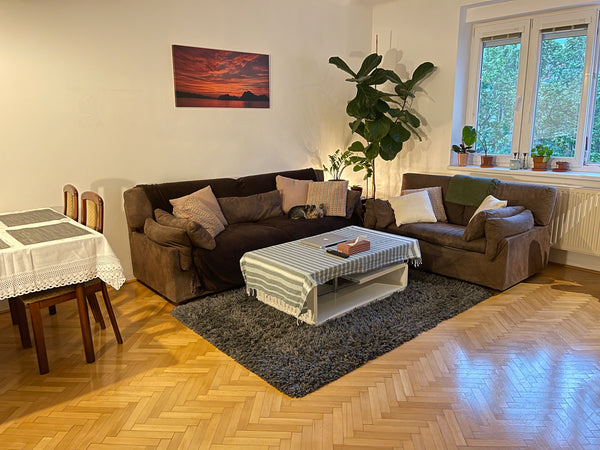 Our lovely apartment located in the 9th district, nearby the luxurious 'Sobieski  Lovely Apartment near 'Sobieskiplatz' Entire condo vacation rental 50112038
