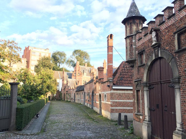 Misschien wel de speciaalste plek van Antwerpen: het Begijnhof. Midden in het st Antwerp, Belgium Knus verblijf in het eeuwenoude Begijnhof Entire rental unit vacation rental 23001137