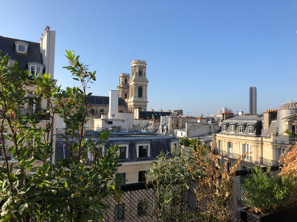 Appartement bohème en plein coeur de Saint-Germain-Des-Près composé d'un salon a Cannes, France Saint-Germain-Des-Près bohème avec vue sur Paris Entire rental unit vacation rental 29156138