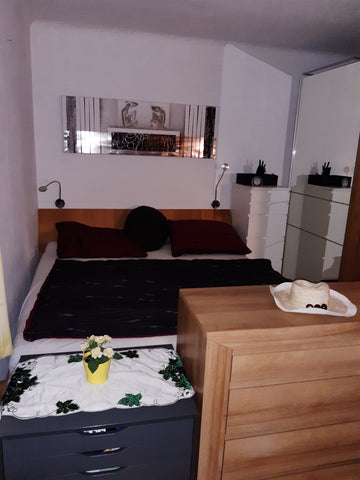 Bei dieser besonderen Unterkunft sind alle wichtigen Anlaufpunkte ganz in der Nä Vienna, Austria Schöne Wohnung mitten im 8ten mit kleiner Terrasse Entire rental unit vacation rental 54027998