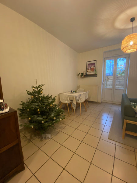 Venez passez vos fêtes de Noël au coeur de Lyon dans ce bel appartement T3 et pr  Bel appartement Lyon 3 Entire rental unit vacation rental 778119740172613071
