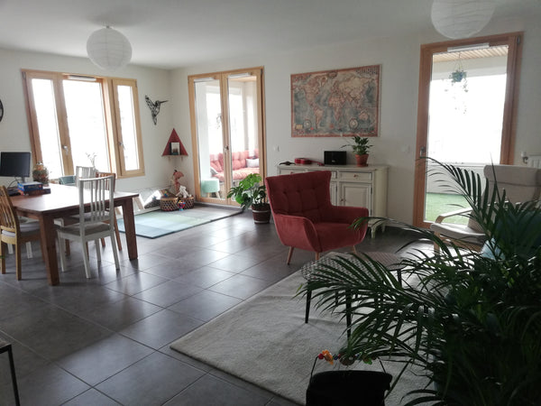 Appartement de 88 m2 + 16 m2 de terrasse orientée Sud avec verres repliables pou Lyon, France Grand appartement/terrasse au cœur de Confluence Entire rental unit vacation rental 50996389