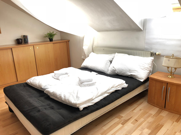 Very comfortable and beautiful room in a house with a big garden with grill. 20   Cute room on the rooftop Private room in guesthouse vacation rental 34554554
