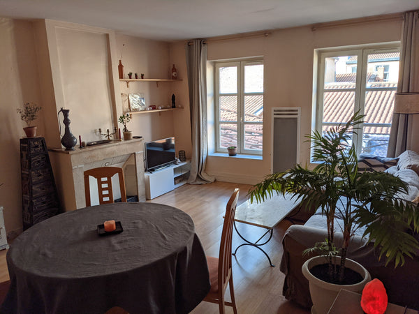 Charming apartment in the utmost center part of Lyon and at the heart of the act Lyon, France Ultra center, ultra quite, ultra view Entire rental unit vacation rental 48022887