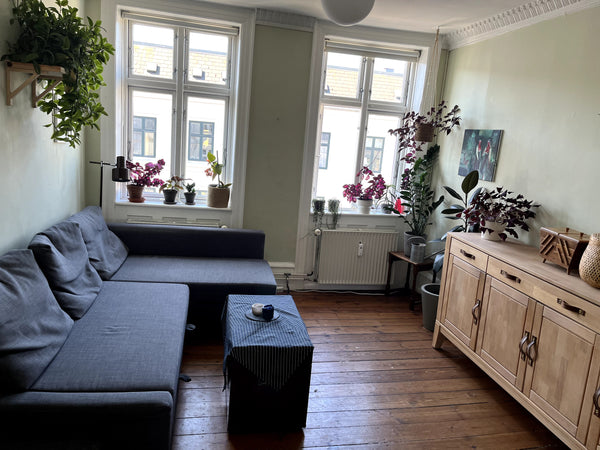 The apartment is very central in Copenhagen and a 7min walk from Nørreport stati Copenhagen, Denmark Cozy apartment in the center of Copenhagen Entire condo vacation rental 643206829512194312