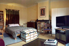 A large room on the backyard-side of the house which is full of light during the Brussels, Belgium Luminous, Bright and Quiet Room with Garden View ! Private room in home vacation rental 4324679