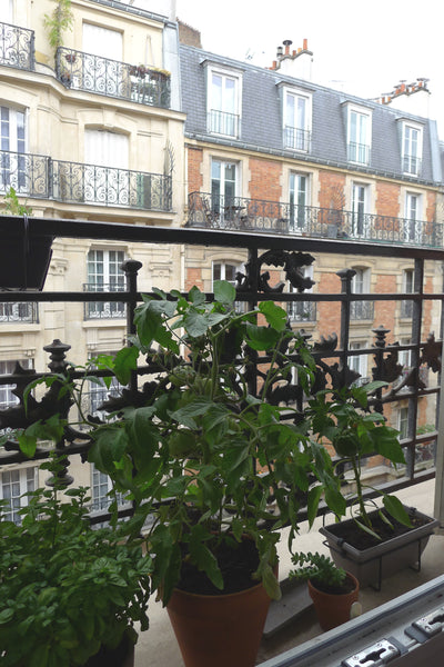 This cosy apartment is located at the foot of the Montmartre hill in Paris, not  Paris, France Cosy appartment in Montmartre Entire rental unit vacation rental 7222761