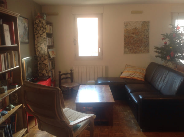 Notre appartement est situé sur la Presqu'île, dans le 