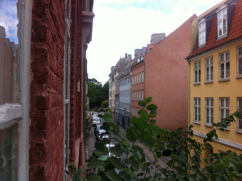 Beautiful, tranquil and spacious apartment.<br /><br />Our home is right in the  Copenhagen, Denmark History of Cph. 4 rooms 120 m2  *2 single bedrooms Entire rental unit vacation rental 10903162