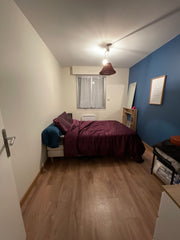 Appartement spacieux, 3 chambres (dont une occupée par moi, la propriétaire et m Lyon, France Chambre 2 dans appartement spacieux, Lyon. Private room in condo vacation rental 727997973029574454