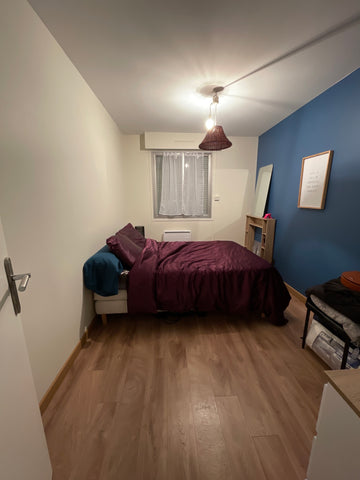 Appartement spacieux, 3 chambres (dont une occupée par moi, la propriétaire et m Lyon, France Chambre dans appartement spacieux, Lyon. Private room in condo vacation rental 703648371029988238