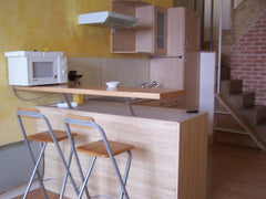 L'appartement est situé de l'autre coté du Rhône,à la Guillotière dans le quarti Lyon, France Appartement en duplex Hypercentre Entire rental unit vacation rental 12263858