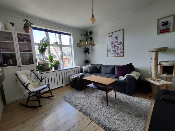 Cozy and personal apartment. You have access to a fully equipped kitchen, large  Frederiksberg, Denmark Central and cozy apartment with free parking Entire condo vacation rental 653926743975744808