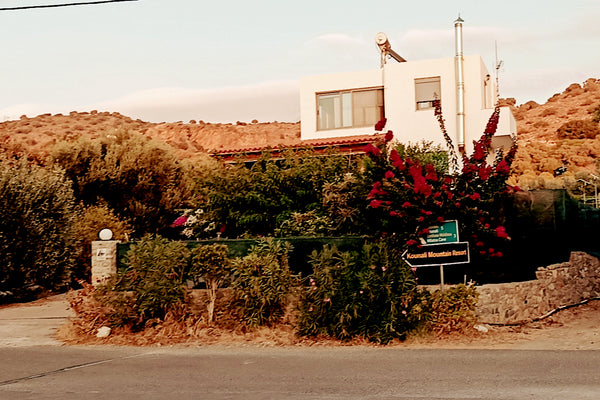 Hi.. -as you see, House is in the middle of an...ocean of Olive Trees! -Still, j Milatos, Greece 