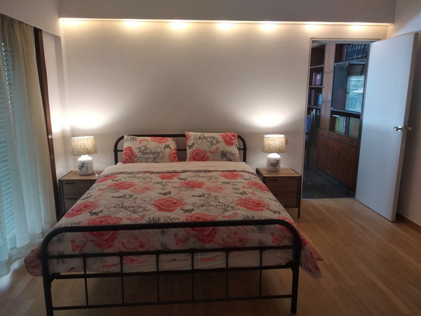 RITA'S PENTHOUSE - Your elite stay in central Athens.<br />MASTER Quarters<br /> North Athens Regional Unit, Greece RITA'S PENTHOUSE - MASTER Quarters, Athens Center Private room in rental unit vacation rental 39706855