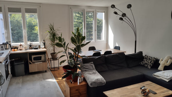 Lyon, France Un coeur de verdure en plein centre ville. Entire condo vacation rental 38631293
