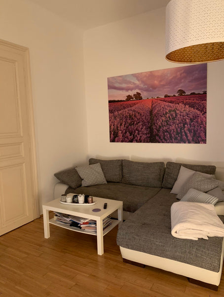 cosy little flat in Vienna 1090, near downtown Entire rental unit vacation rental 40748283