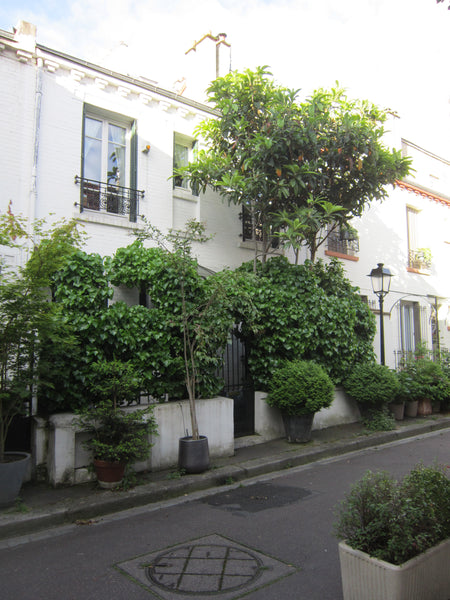Charmante maison au coeur de la Cité florale dans une voie privée piétonne. Le c Paris, France Charmante maison au cœur de Paris Entire townhouse vacation rental 18710021