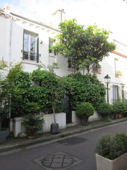Charmante maison au coeur de la Cité florale dans une voie privée piétonne. Le c Paris, France Charmante maison au cœur de Paris Entire townhouse vacation rental 18710021
