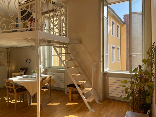 Dans l'ancien cloître rénové de l'Antiquaille, bienvenue dans ce beau studio lum  Grand studio, calme, cosy (Fourvière/ Vieux-Lyon) Entire condo vacation rental 44013727