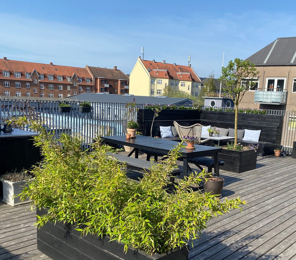 Unique  modern apartment with a large private rooftop terrace, close to the cent Copenhagen, Denmark Unique apartment with 100 sqm rooftop terrace Entire condo vacation rental 619459591058497627
