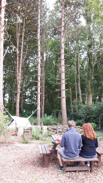 Bring your tents and camp with your own camping gear in a private wood in the gr Ghent, Belgium Camping with your own tent in a private wood Private room in tent vacation rental 43521263