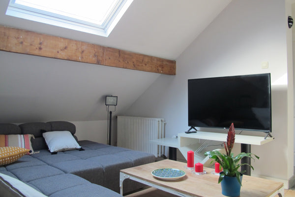 Appartement tout confort, lumineux et calme dans un des quartiers les plus sécur Uccle, Belgium Brussels Downtown Entire condo vacation rental 43698400