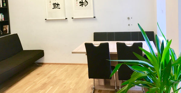 Unsere Wohnung liegt ruhiger und zentraler Lage, nahe dem Schloss Schönbrunn und Vienna, Austria Apartment close to Schönbrunn Entire rental unit vacation rental 26914172