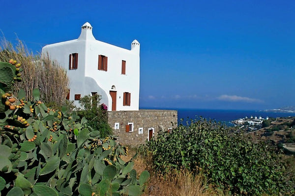 This high-ceiling villa consists of a cathedral-like living room, dining room wi United States 3 bedroom villa near Mykonos Town, facing the sea Cycladic home vacation rental 3881649