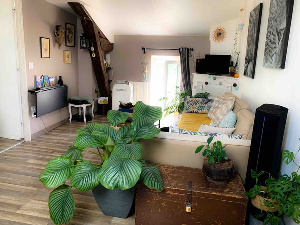 Confortable T2 mansardé de 38m2 refait à neuf, au calme dans le quartier prisé d Lyon, France Appartement de charme à Lyon Entire rental unit vacation rental 24360581