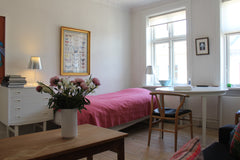Single bed, TV, couch and access to kitchen and bathroom/shower in the apartment Copenhagen, Denmark Wonderful cosy room, Vesterbro Private room in condo vacation rental 12183813