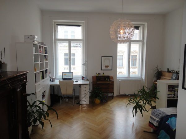 <b>The space</b><br />The apartment is located on the second floor in a typical  Vienna, Austria  Entire rental unit vacation rental 7316171